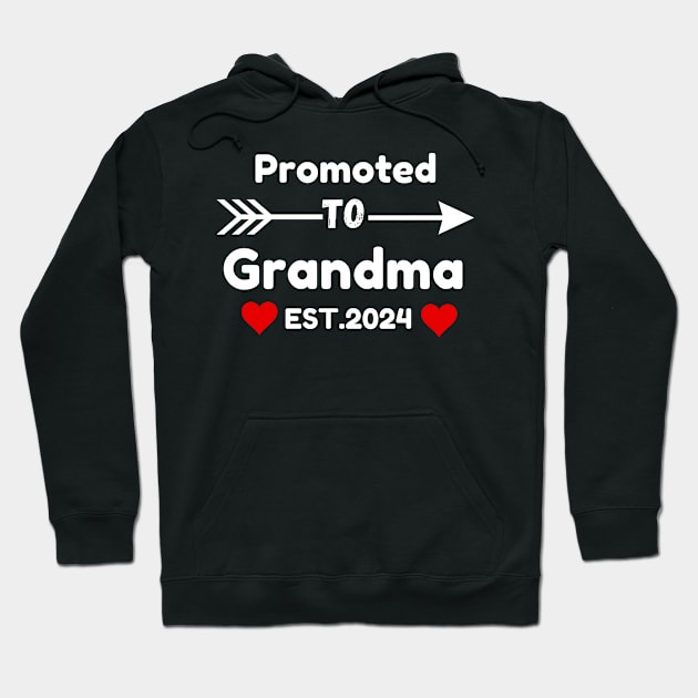 Promoted to grandma est. 2024 Hoodie by Modemesh